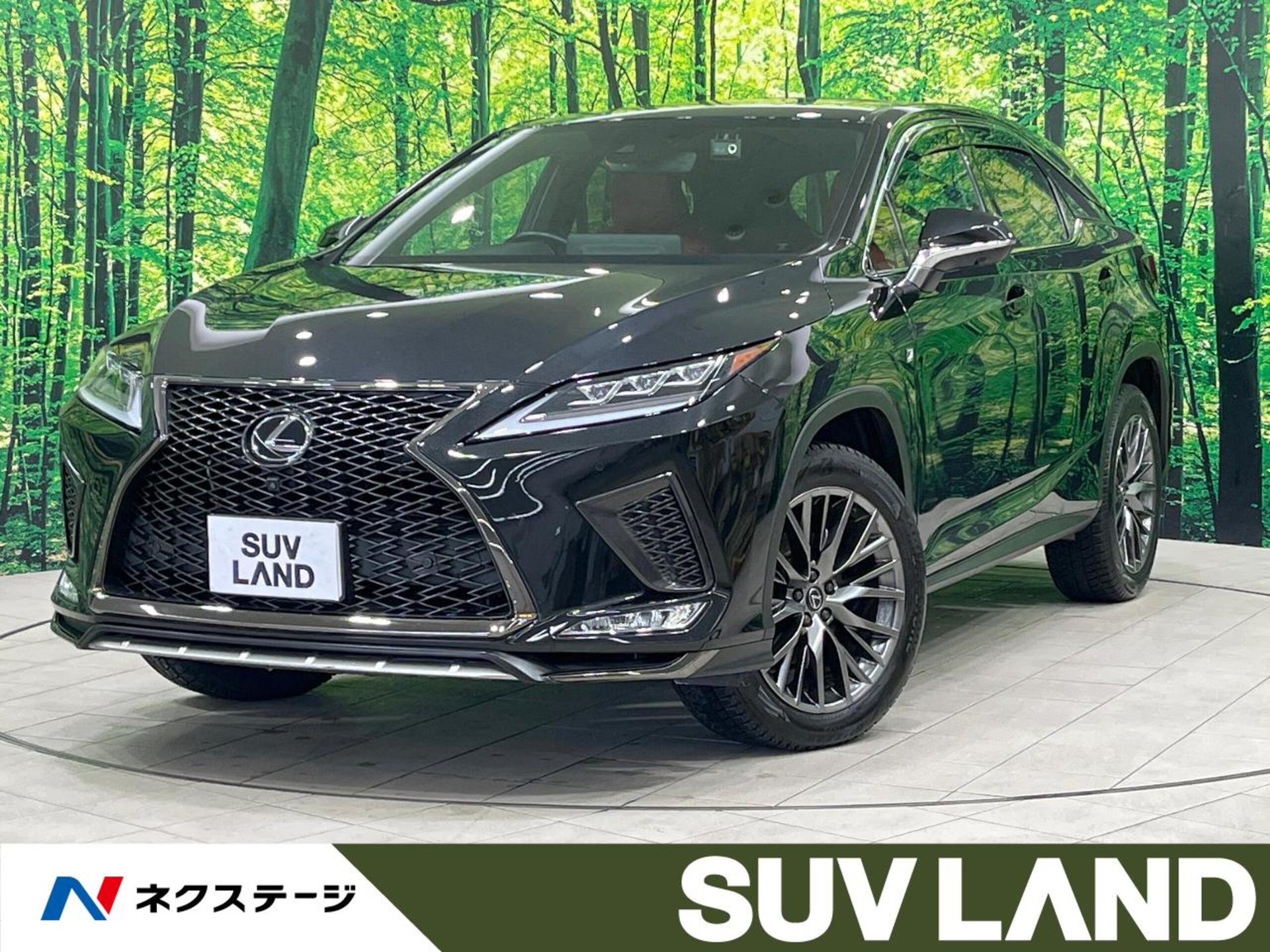LEXUS RX - View 1
