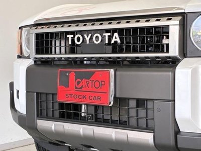 TOYOTA LAND CRUISER 250 - 9