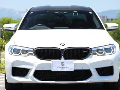 2018 BMW M5 缩略图 19