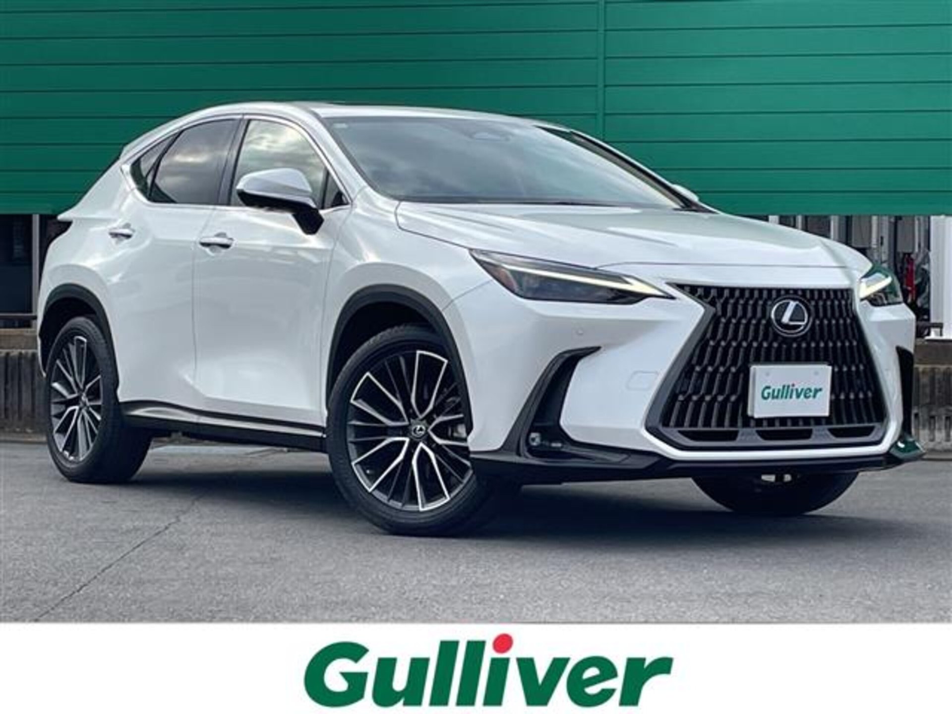 LEXUS NX - View 1