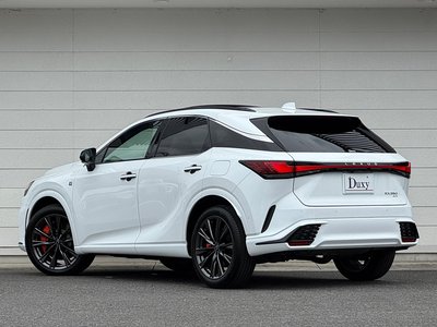 2025 Lexus RX — миниатюра 24