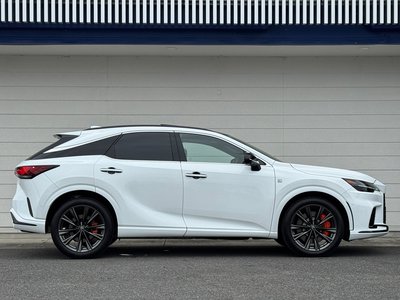 2025 Lexus RX — миниатюра 19