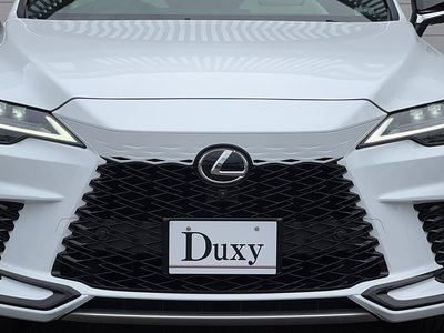 2025 Lexus RX — миниатюра 16