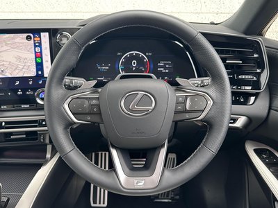 2025 Lexus RX — миниатюра 37