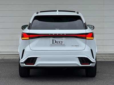 2025 Lexus RX — миниатюра 20