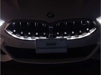 2022 BMW 8 SERIES 照片 9