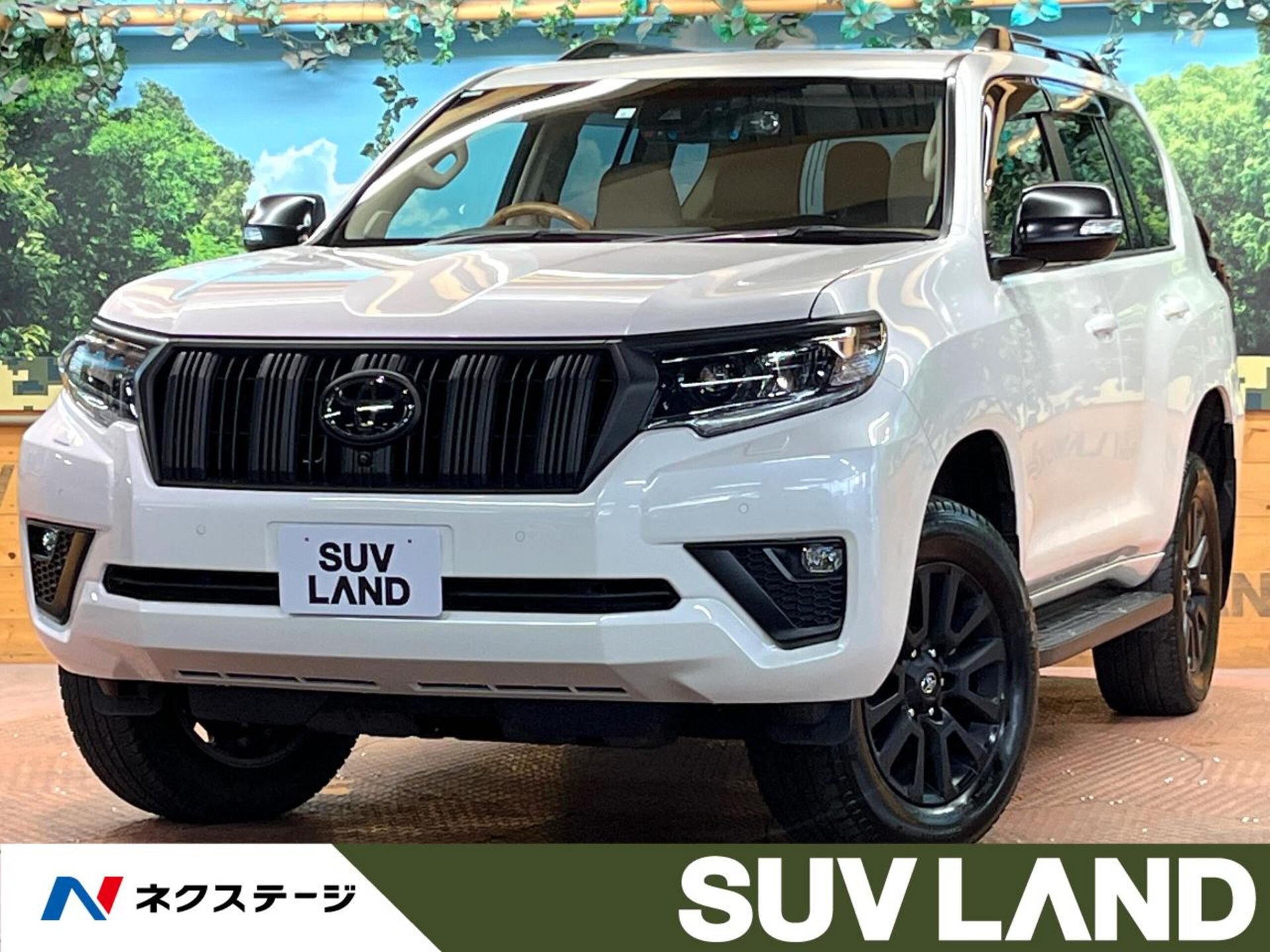 TOYOTA LAND CRUISER PRADO - View 1
