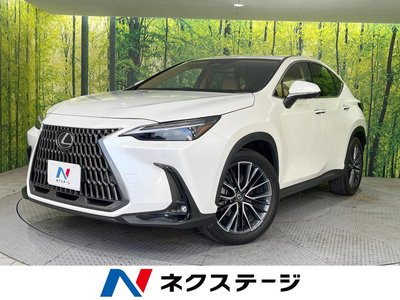 LEXUS NX - 1