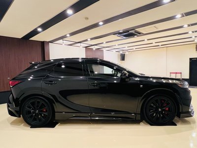 2025 Lexus RX — миниатюра 11