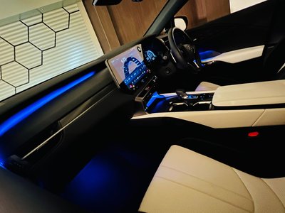 2025 Lexus RX — миниатюра 74