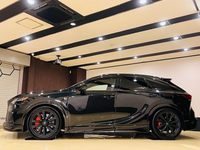 LEXUS RX - 6
