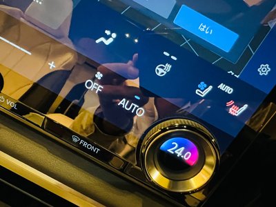 2025 Lexus RX — миниатюра 39