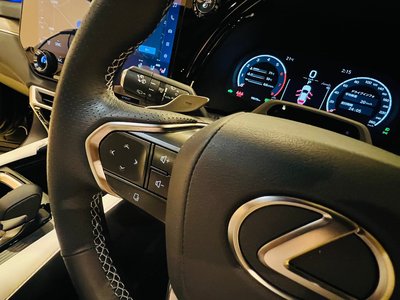 2025 Lexus RX — миниатюра 38