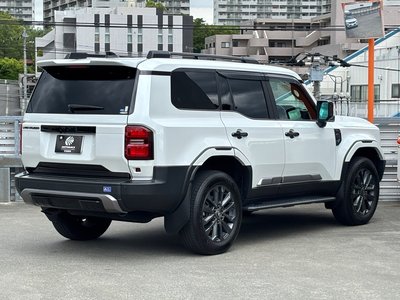 TOYOTA LAND CRUISER 250 - 6