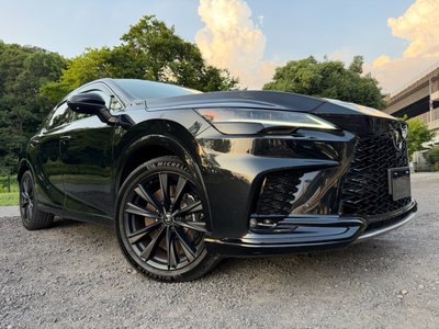 2024 Lexus RX — миниатюра 16