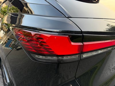 2024 Lexus RX — миниатюра 30