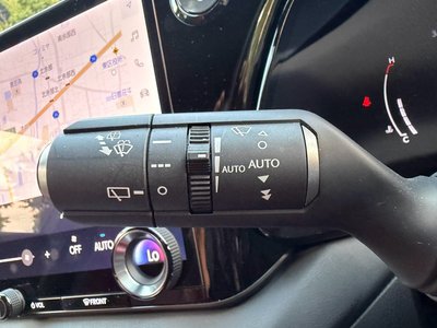 2024 Lexus RX — миниатюра 49