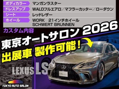 2018 Lexus LS 缩略图 57