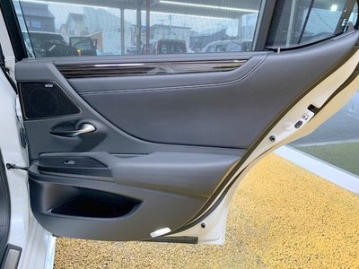صورة مصغرة 43 لـ 2020 Lexus ES