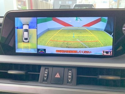 2020 LEXUS ES 照片 8