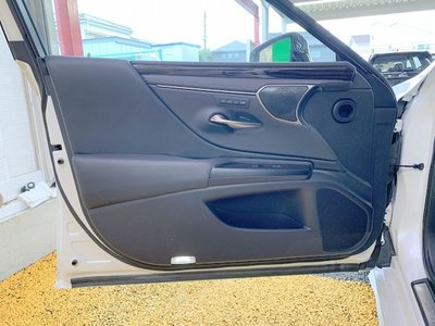 صورة مصغرة 44 لـ 2020 Lexus ES