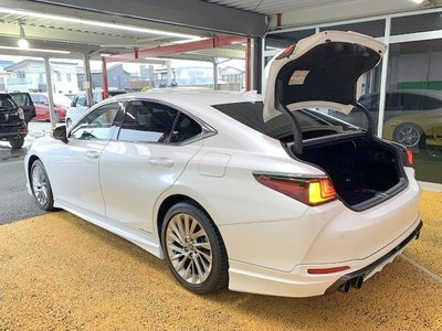 صورة مصغرة 33 لـ 2020 Lexus ES