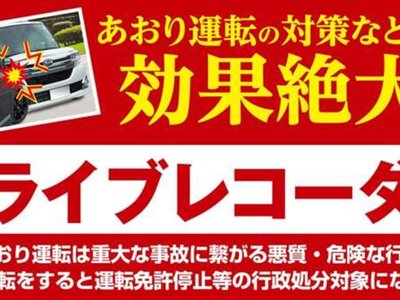 2025 Toyota LAND CRUISER 250 — миниатюра 82