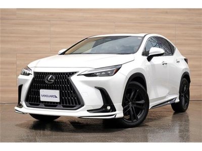 صورة مصغرة 69 لـ 2023 Lexus NX