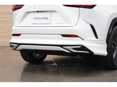 LEXUS NX - 6