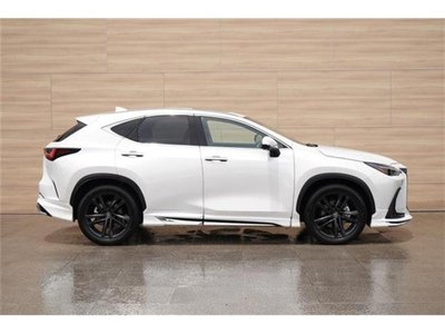 صورة مصغرة 70 لـ 2023 Lexus NX