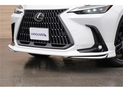 LEXUS NX - 4