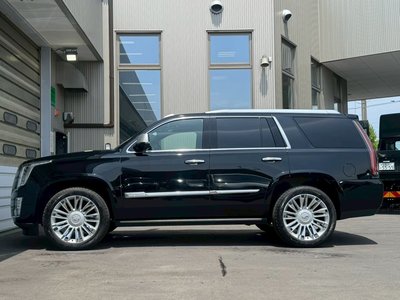 2016 Cadillac ESCALADE — миниатюра 25