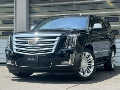 2016 Cadillac ESCALADE — миниатюра 19