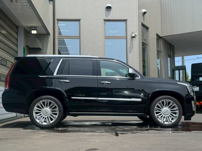 2016 Cadillac ESCALADE — миниатюра 15