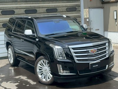 2016 Cadillac ESCALADE — миниатюра 18