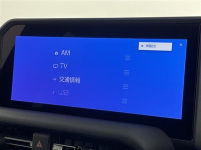 TOYOTA LAND CRUISER 250 - 6