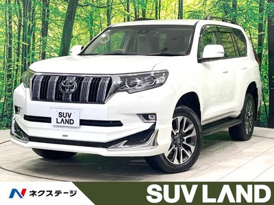 2023 Toyota LAND CRUISER PRADO 照片 1