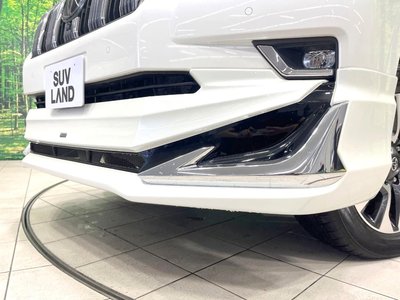 2023 Toyota LAND CRUISER PRADO 照片 3
