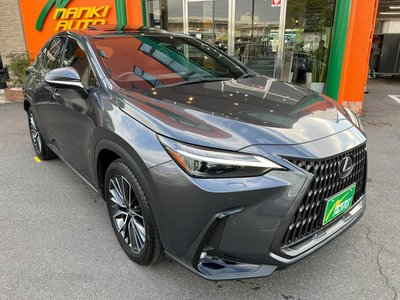 LEXUS NX - 7