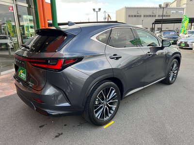 LEXUS NX - 10