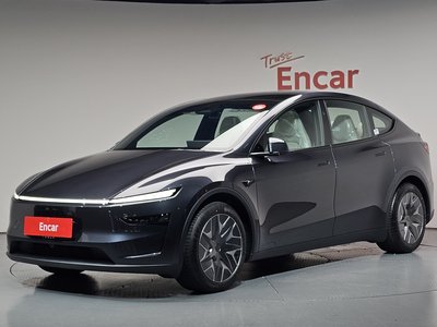 TESLA MODEL Y - 1