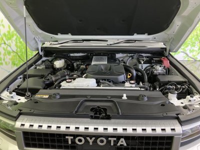 2025 Toyota LAND CRUISER 250 缩略图 51