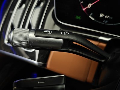 2021 Mercedes-BENZ S-CLASS 缩略图 33
