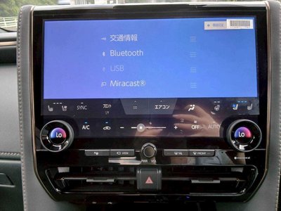 2024 TOYOTA ALPHARD thumbnail 24