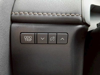 2024 TOYOTA ALPHARD thumbnail 19