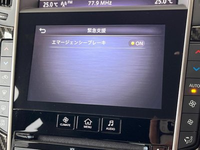 صورة مصغرة 63 لـ 2020 Nissan SKYLINE