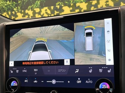 2024 Toyota ALPHARD — фото 64