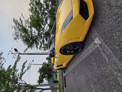 2011 Lamborghini GALLARDO 照片 6