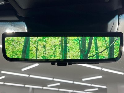 TOYOTA LAND CRUISER 250 - 6