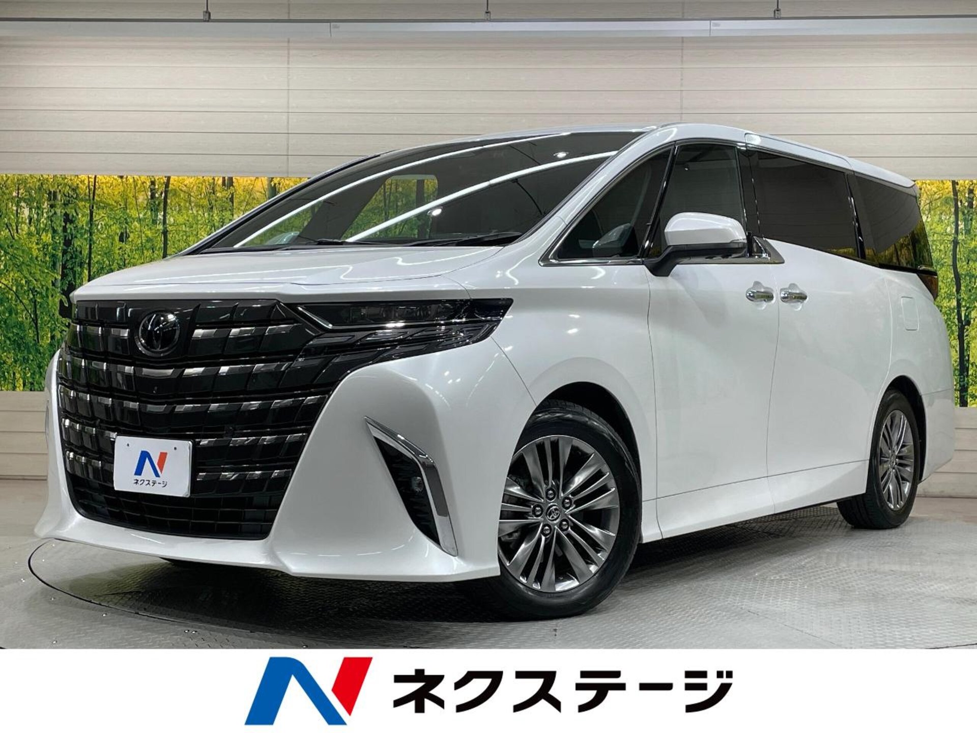 TOYOTA ALPHARD - View 1
